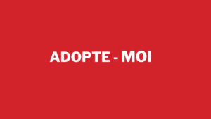 Adopte moi: Le chien Zeus, 24.09.2025
