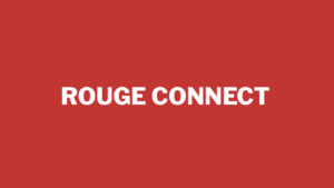 Rouge connect: La bulle de l’IA prête à éclater? 03.11.2025