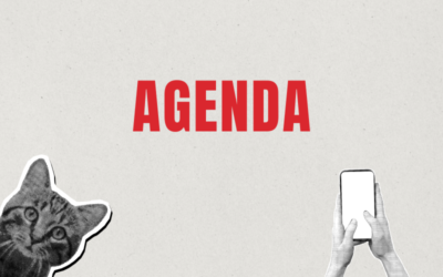 Agenda : Country Festival