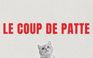 Le Coup de patte : La balade en laisse