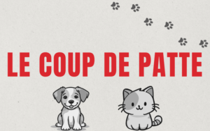 Le coup de patte, 21.08.2026 10:10